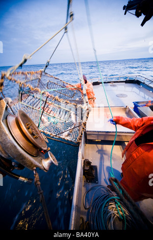 Deckhands lower a baited pot over the deck of the F/V Centurion while cod fishing in Kachemak Bay, Alaska Stock Photo