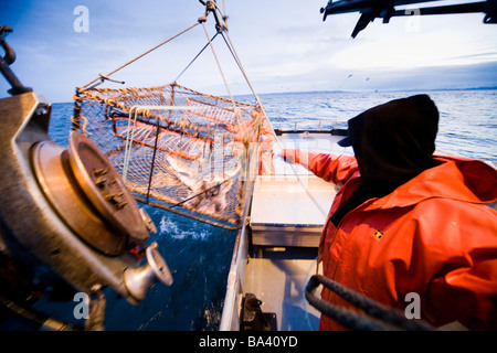 Deckhands lower a baited pot over the deck of the F/V Centurion while cod fishing in Kachemak Bay, Alaska Stock Photo