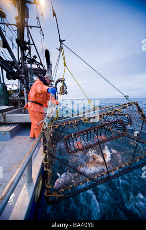 Deckhands lower a baited pot over the deck of the F/V Centurion while cod fishing in Kachemak Bay, Alaska Stock Photo