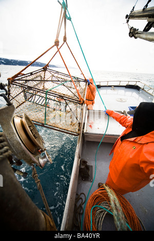 Deckhands lower a baited pot over the deck of the F/V Centurion while cod fishing in Kachemak Bay, Alaska Stock Photo