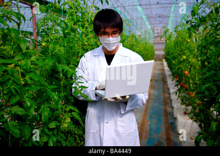 Researcher using laptop in greenhouse Stock Photo