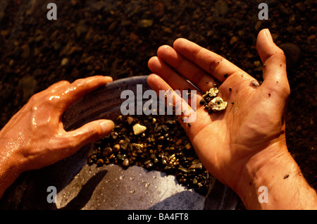 Gold panning Stock Photo