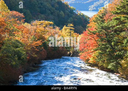 Crown Waterfall in Tochigi Prefecture, Japan Stock Photo