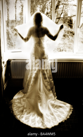 Silhouette of a bride in white wedding dress holding out wedding veil standing infront of window with woodland scene beyond Stock Photo