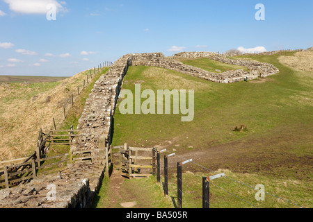 Northumberland 'National Park' England UK Pennine Way Hadrian's Wall and Cawfields Roman Milecastle on Whin Sill Stock Photo