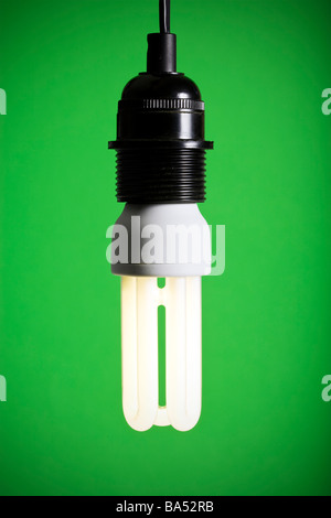 compact fluorescent lightbulb in socket, green background Stock Photo