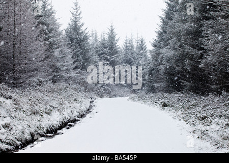 Snow falling in a snow filled country lane during a winter blizzard Stock Photo