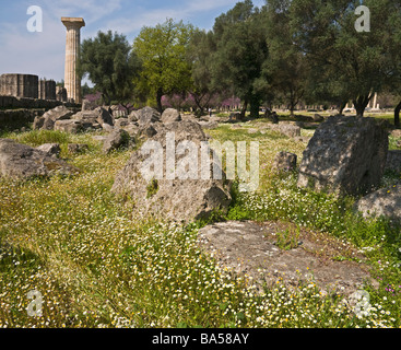 Fallen Column Fallen column drums amongst the spring wild flowers at the Temple of ...