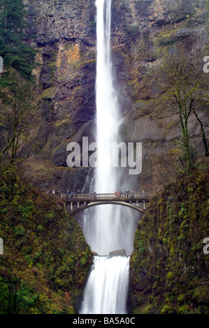 The water of Multnomah Falls Columbia River Gorge National Scenic Area Oregon Stock Photo