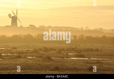 Dawn over grazing marshes at Holkham National Nature Reserve in Norfolk looking towards Burnham Overy Staithe windmill. Stock Photo