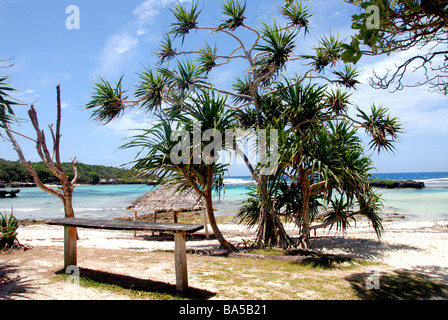 beach, Efate island, Vanuatu Stock Photo