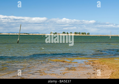 The Culbin Sands coastline now occupied by the sea at high tide   SCO 2333 Stock Photo