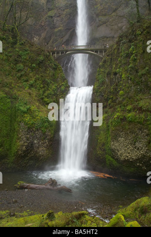 The water of Multnomah Falls Columbia River Gorge National Scenic Area Oregon Stock Photo