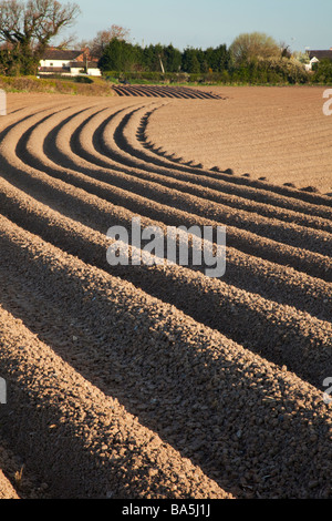 Early morning view of freshly planted potato field on the outskirts of Ellemsere Port in Cheshire Stock Photo