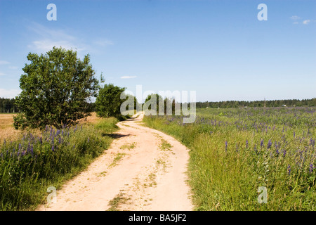 Curved country road through fields in sunny day. Stock Photo