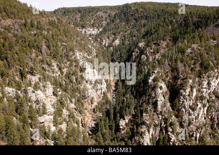 view of oak creek canyon from the viewing area on highway 89a within the coconino national forest near sedona arizona usa Stock Photo