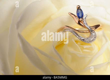 Ring in a white rose A jewelry on a blossoming bud of a flower Stock Photo