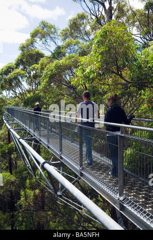 The Tree Top Walk.  Walpole-Nornalup National Park, Western Australia, AUSTRALIA Stock Photo