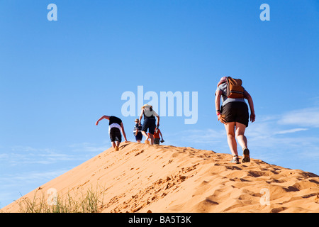 Climbing Big Red - a sand dune in the Simpson Desert National Park, near Birdsville, Queensland, AUSTRALIA Stock Photo