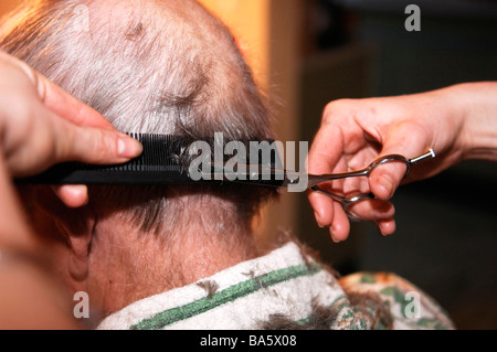 Hairdresser cutting old mans grey hair with comb and scissors Stock Photo