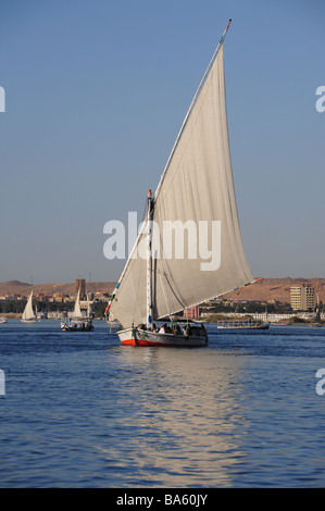 Egypt Aswan felucca boats ply the Nile River Stock Photo - Alamy