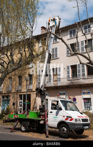 Workmen using chainsaws to pollard the plane trees in spring in the town of Carpentras, Provence, France Stock Photo