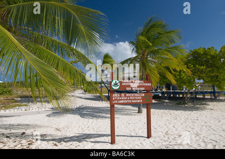 turtle sanctuary Dos Mosquises Island Los Roques National Park Venezuela South America Stock Photo