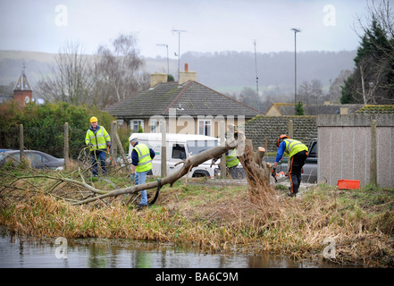 A TREE SURGEON CLEARING TREES FROM THE TOW PATH AT STONEHOUSE AS PART OF THE RESTORATION WORKS ON THE STROUDWATER NAVIGATION CAN Stock Photo