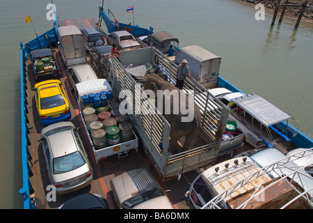 Indian Elephant being moved in an open lorry to Kohchang Island Thailand Stock Photo