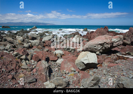 Red Rocks Nature Reserve Near Wellington North Island New Zealand Stock Photo