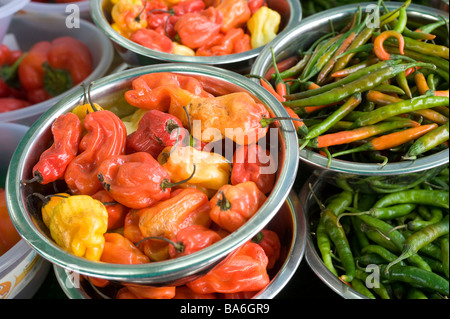 Variety of chillies and chilli peppers for sale on a market stall Stock Photo