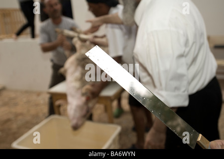 Kosher Slaughter of a Male Sheep 6 Stock Photo
