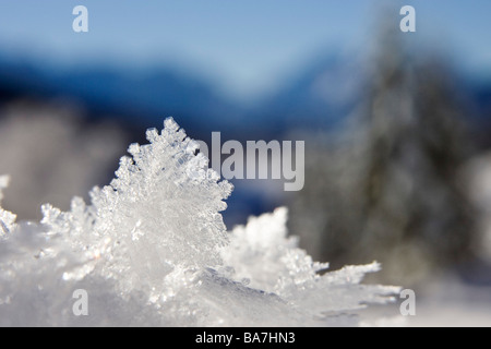 snow crystals, Bavaria, Germany Stock Photo