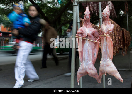 Marinated carcasses of rabbit hung out to dry in the cold and dry winters of Sichuan in China. Stock Photo