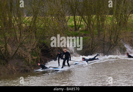 Surfers riding the Severn Bore at Minsterworth Gloucestershire England UK Stock Photo