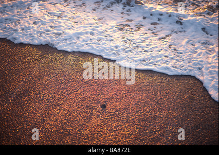 waves lapping on the seashore summer evening Stock Photo