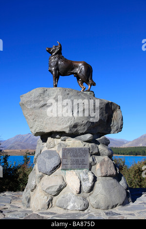 Collie dog statue on the banks of Lake Tekapo erected by the runholders ...