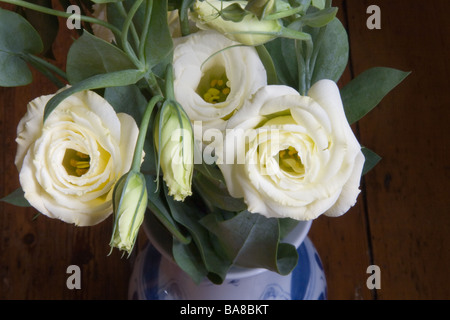 white Lisianthus flowers in a vase Stock Photo