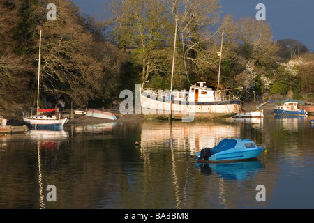 Boats beached along the Penryn river on a still sunny evening. Stock Photo