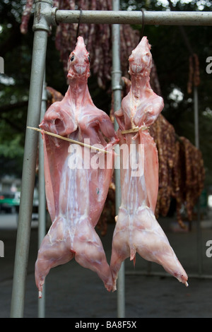 Marinated carcasses of rabbit hung out to dry in the cold and dry winters of Sichuan in China. Stock Photo