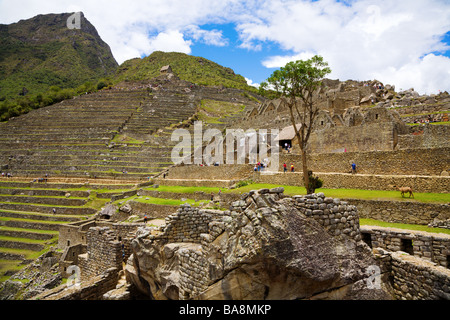 Ancient Inca city at Machu Picchu Stock Photo