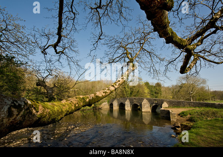 The Dipping Bridge over the Ogmore River in Wales.  Photo by Gordon Scammell Stock Photo