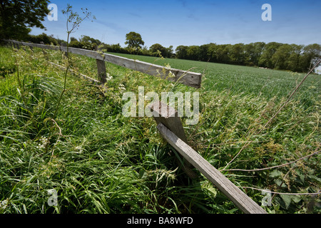 A dilapidated and broken fence in the 'Suffolk Countryside' Great Britain. Stock Photo