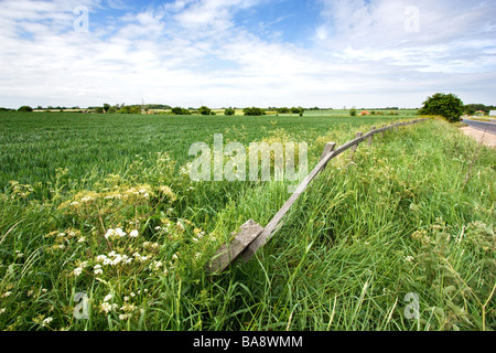A dilapidated and broken fence in the 'Suffolk Countryside' Great Britain. Stock Photo