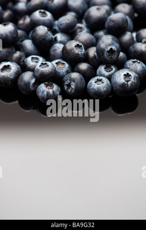 Vaccinium corymbosum. Blueberries on a shiny surface Stock Photo