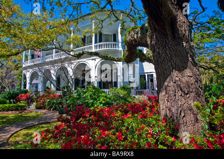 Garden with azaleas in bloom at Villa with Southern Architecture and Design in Charleston South Carolina USA North America Stock Photo