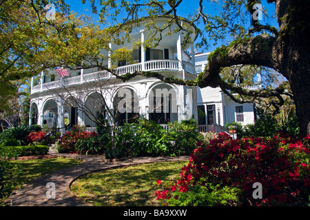 Historical B&B Mansion in historical Southern design with azalea garden in bloom Charleston South Carolina USA North America Stock Photo