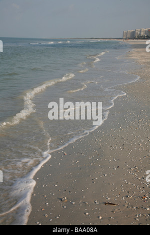 Waves on the shore in Marco Island Florida with shells in the sand Stock Photo