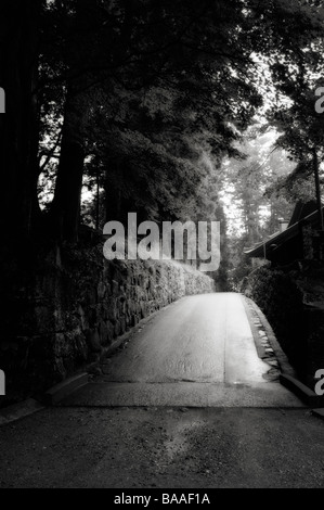 Path between trees. Rinno-ji Temple complex. Nikko. Tochigi Prefecture. Japan. Stock Photo