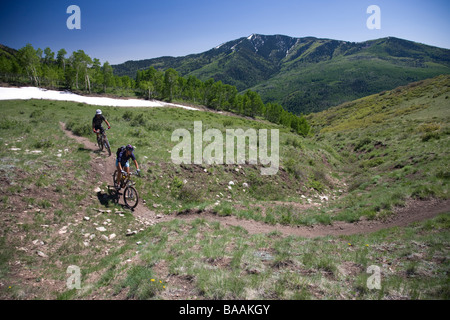 Two people mountain biking in the Abajo mountains near Montecello, Utah. Stock Photo